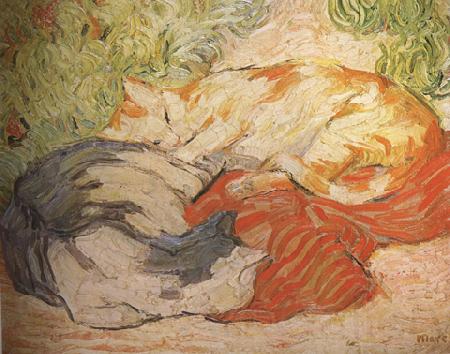 Franz Marc cats (mk34) Norge oil painting art